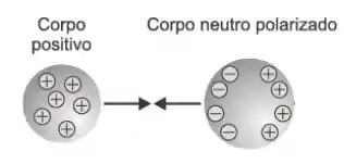 Considere Quatro Corpos Inicialmente Neutros: A, B, C E D. O