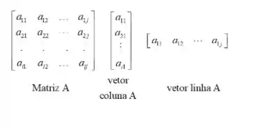 Vetores e matrizes