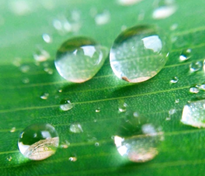 Gotas de água esféricas