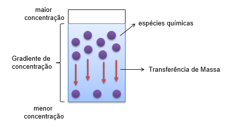 Ilustração representativa da transferência de massa