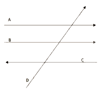 Vetores A, B, C e D representados na figura.