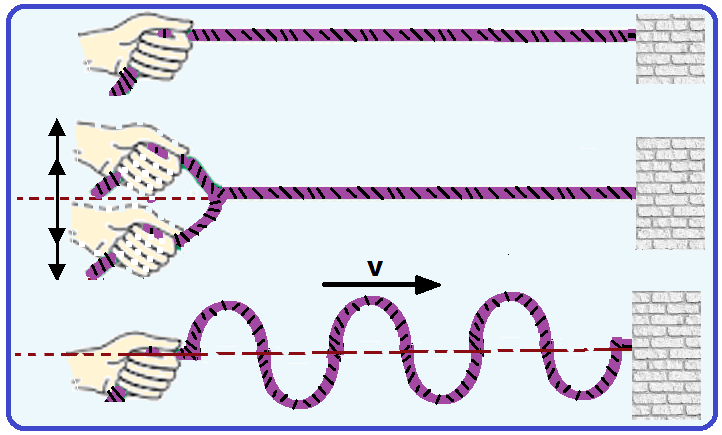 Cordas quando balançadas formam ondas unidimensionais.