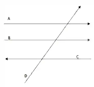 Vetores A, B, C e D representados na figura.