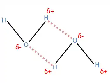 Ligações de hidrogênio na molécula da água