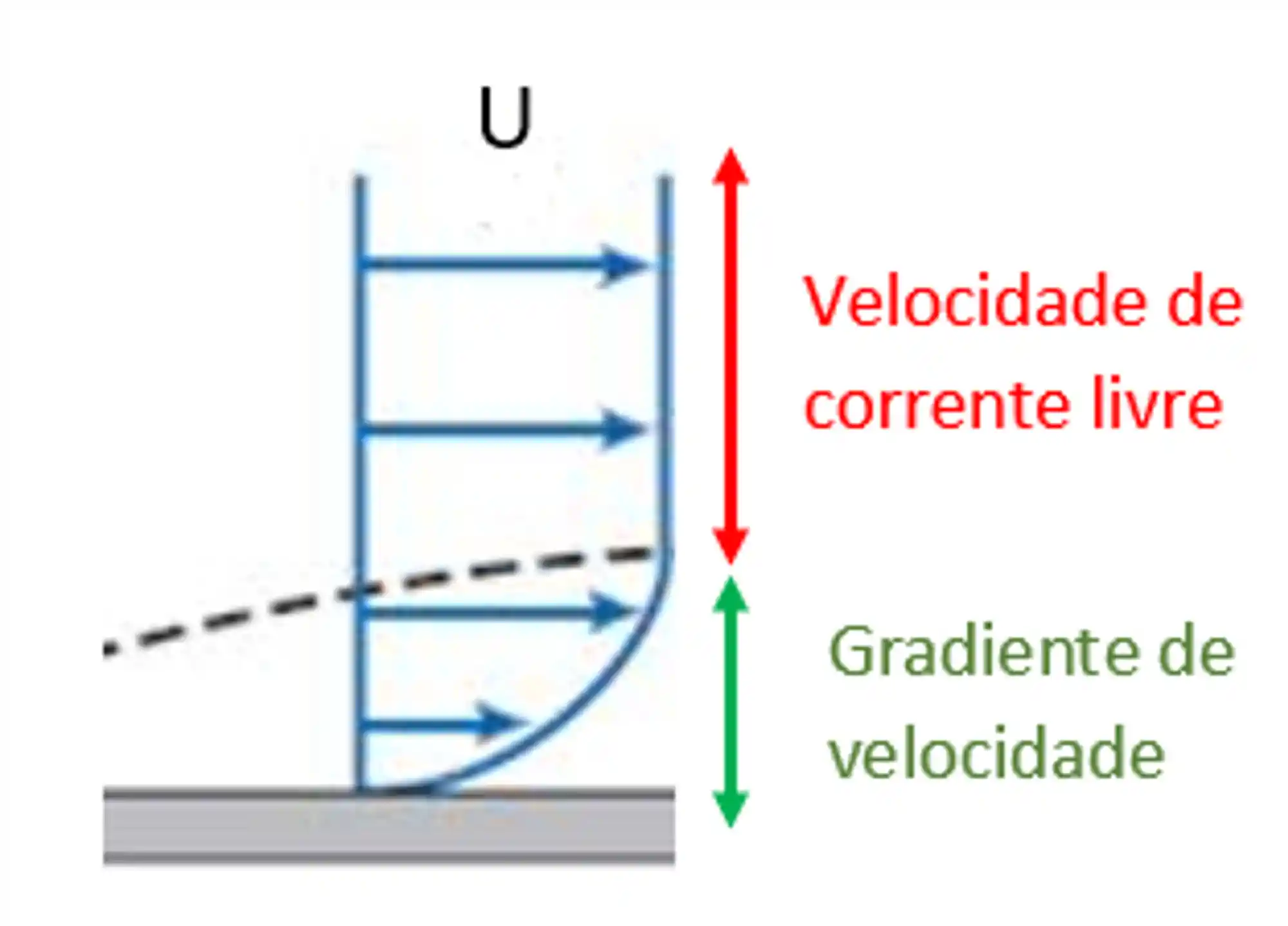 Formação do gradiente de velocidades.