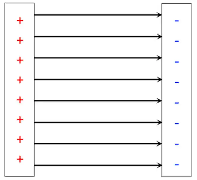 Linhas de força para o campo elétrico na região entre as placas paralelas.