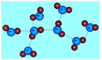 Interação entre moléculas de água