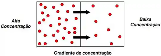 Gradiente de concentração como causa para a transferência de massa