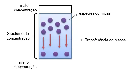 Ilustração representativa da transferência de massa