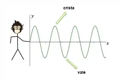 Identificação da crista e do vale de uma onda