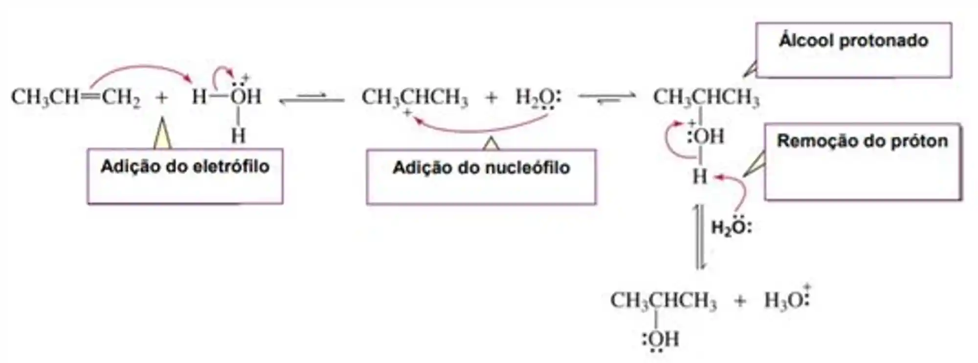 Mecanismo de hidratação de alcenos